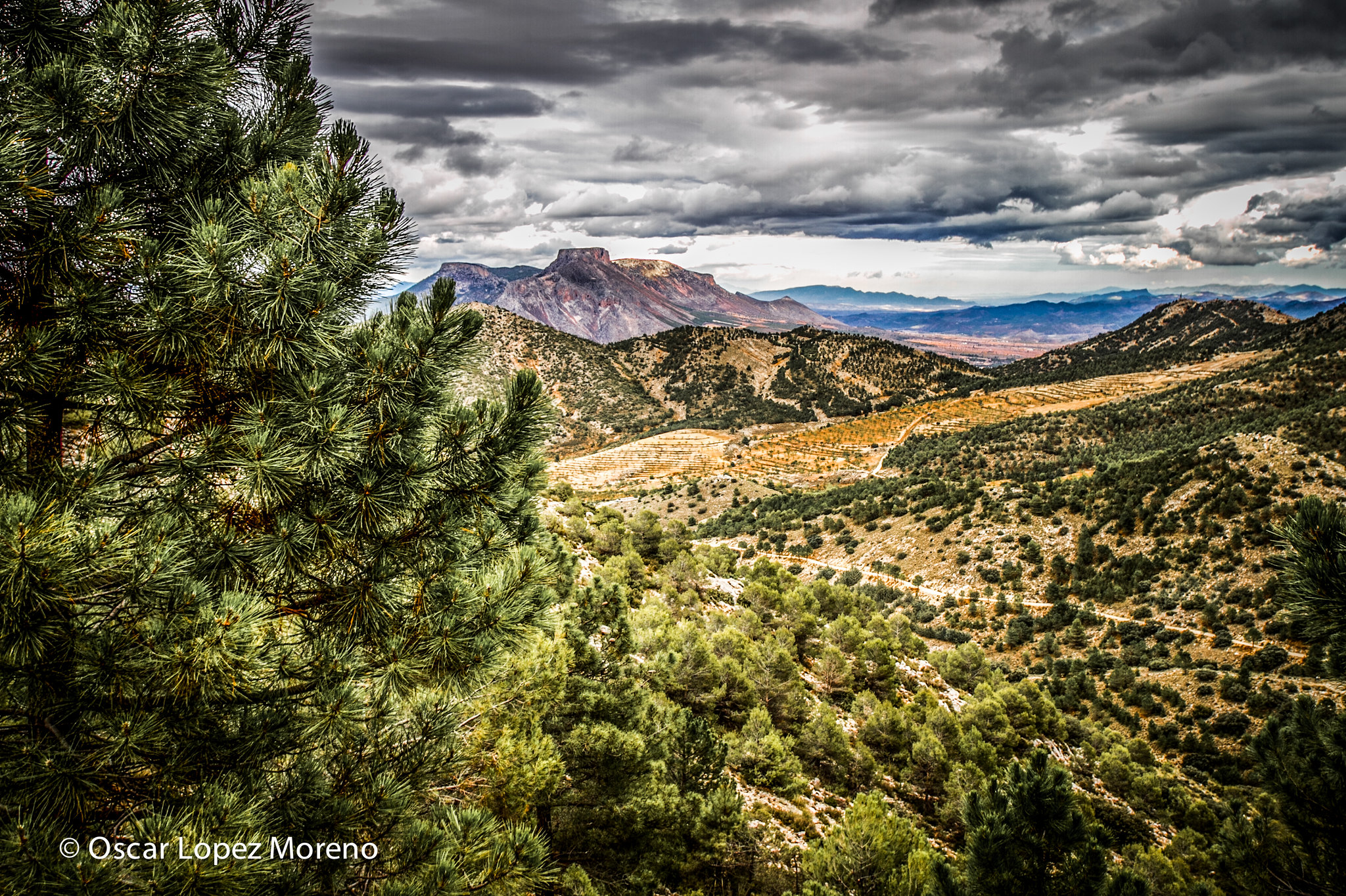 Sierra de María-Los Vélez